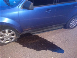 ME8f89c7dec538cbcbf9717abd21205c6f